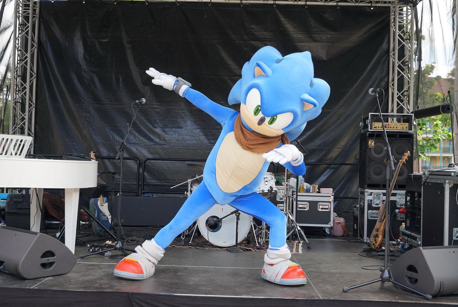 HBF Sonic Hedgehog