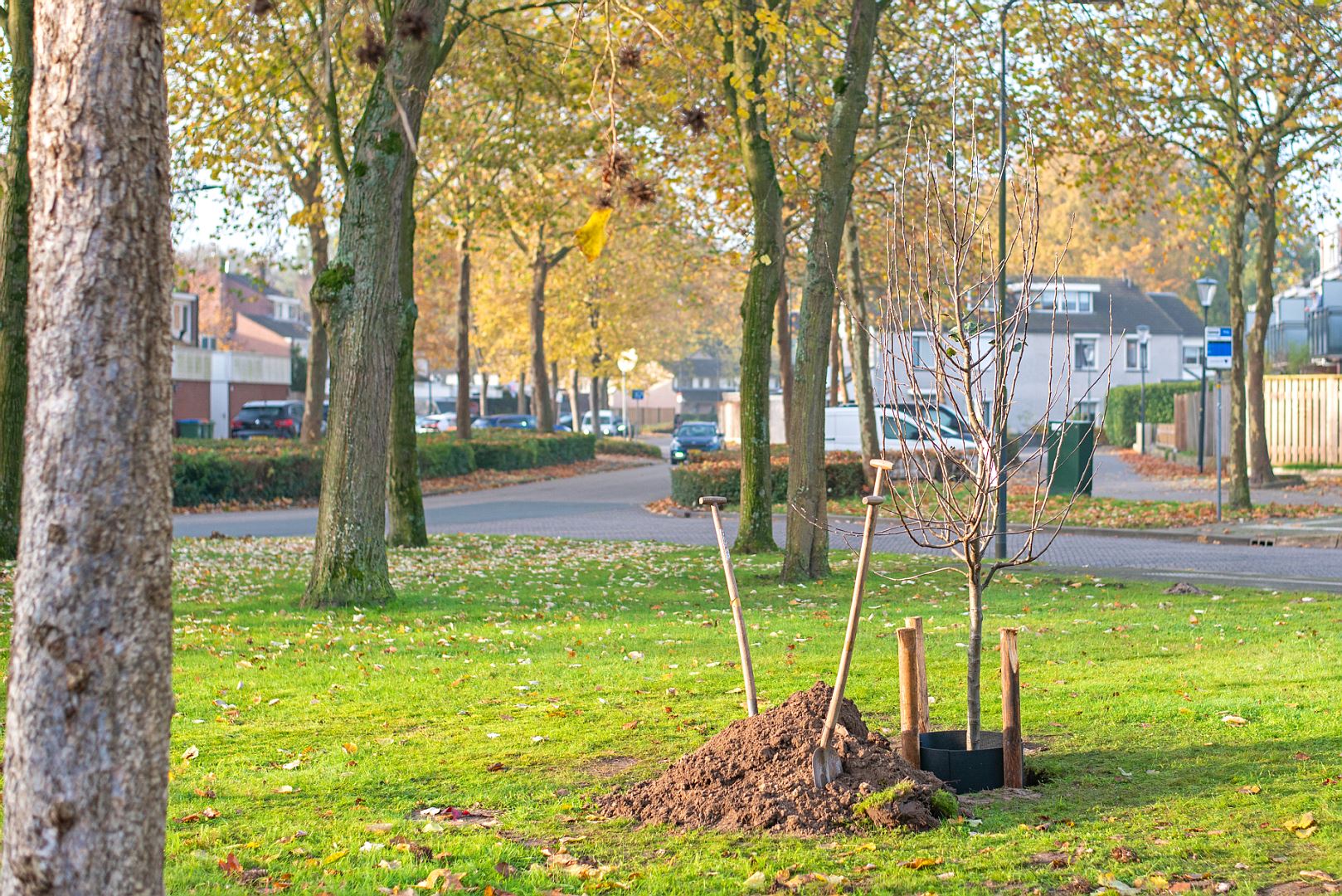 Appelboom De Donk HBVerbindt wethouder Jeroen Bruijns