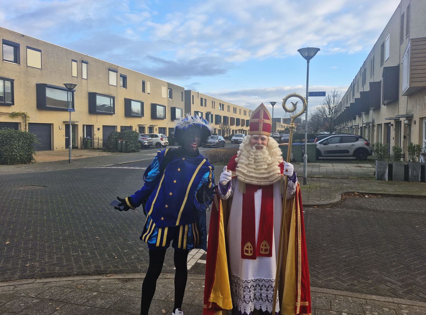 Sint Piet Lisdodde Kroeten